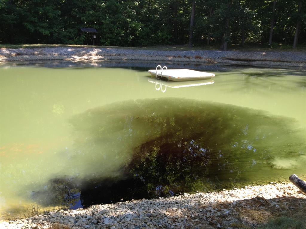 Black Out Pond Dye